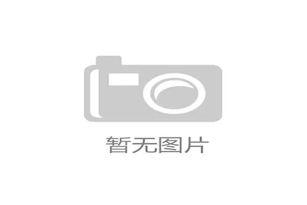王楠出门随手一提包的价钱能买我半套家具
